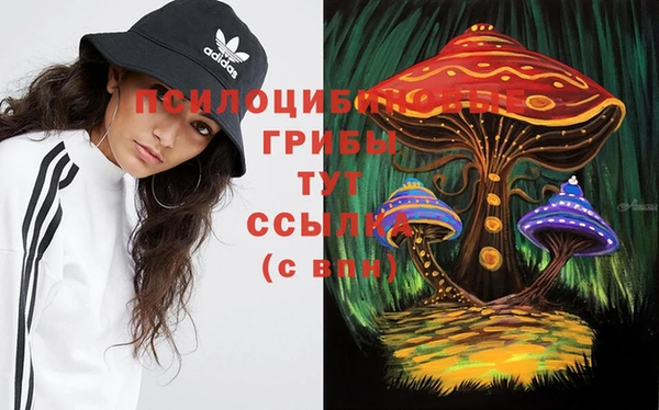 a pvp Покачи