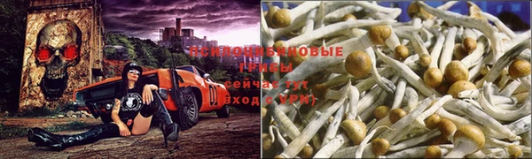 ALPHA-PVP Грязовец