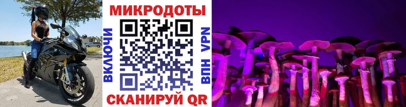 Галлюциногенные грибы MAGIC MUSHROOMS  Стародуб 